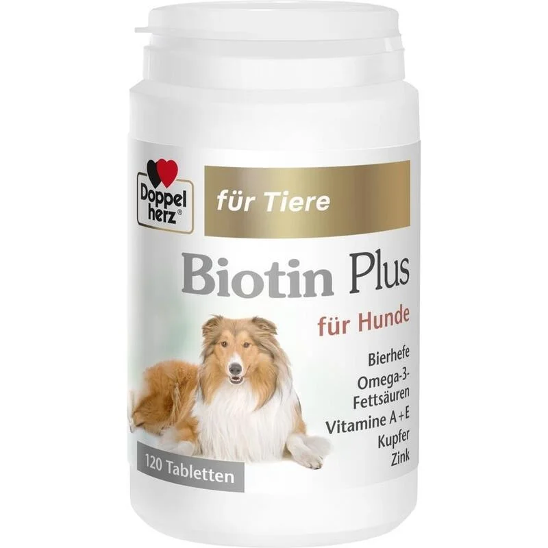die-starken-apotheken6-1812336