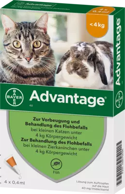 schlossapo-1813748
