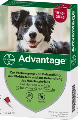 schlossapo-1813751